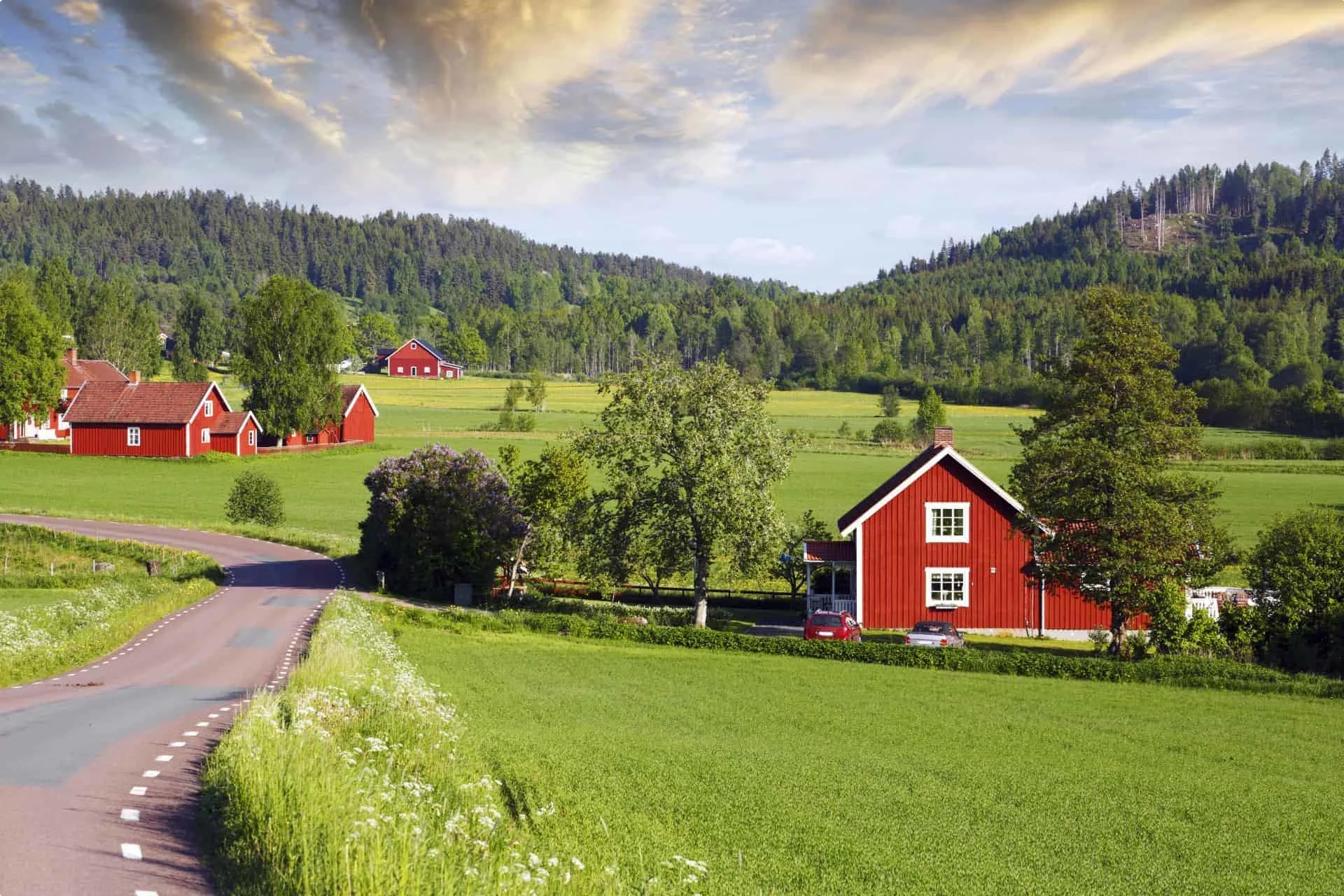 Swedish countryside with red houses, forest and open fields