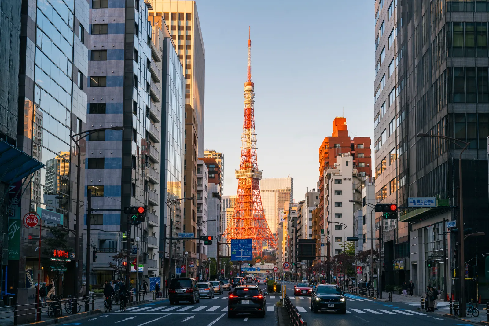 Tokyo skyline with Mount Fuji behind the city