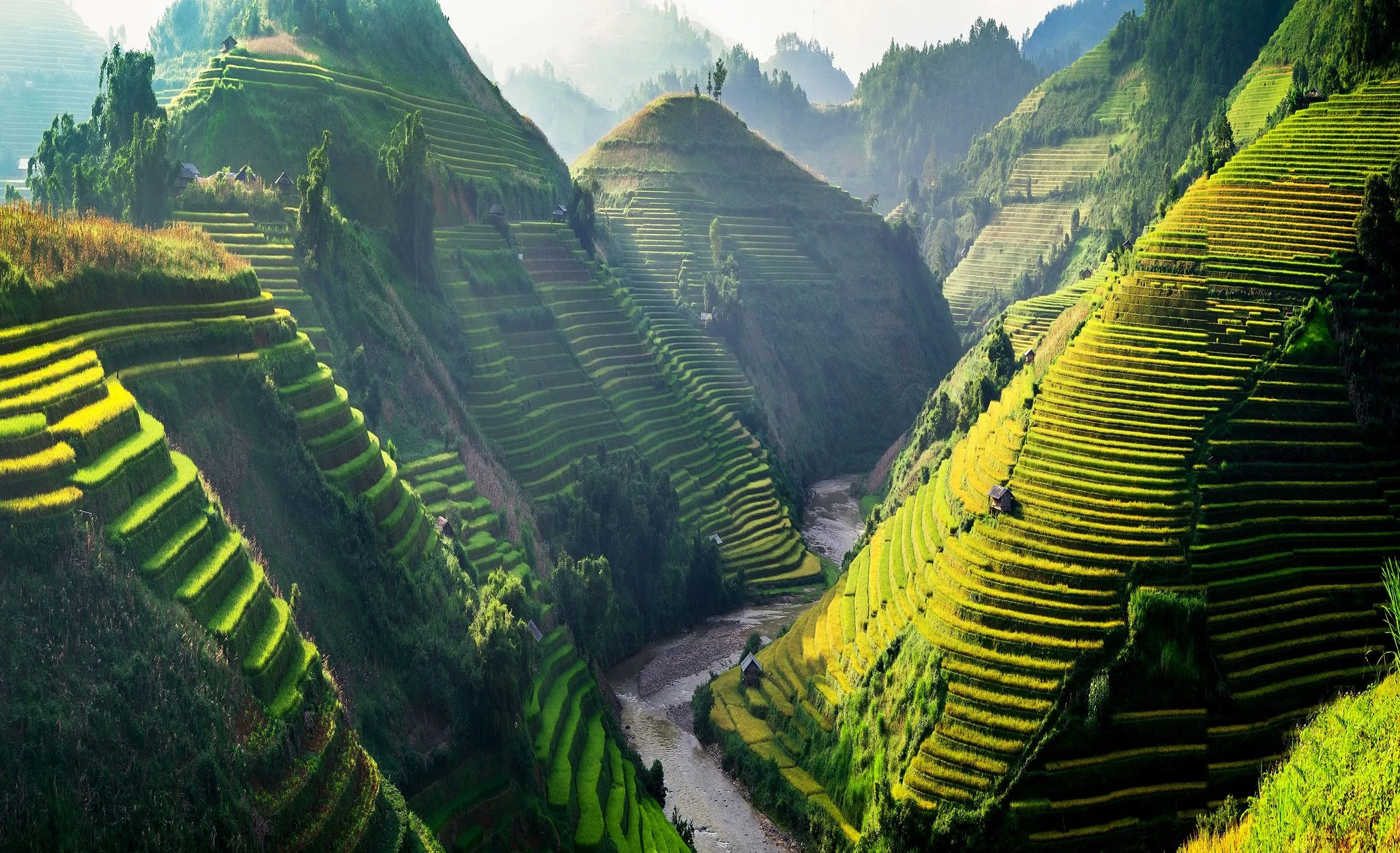 Terraced rice fields in the mountains of Vietnam